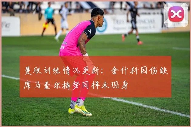 曼联训练情况更新：舍什科因伤缺席马奎尔梅努同样未现身