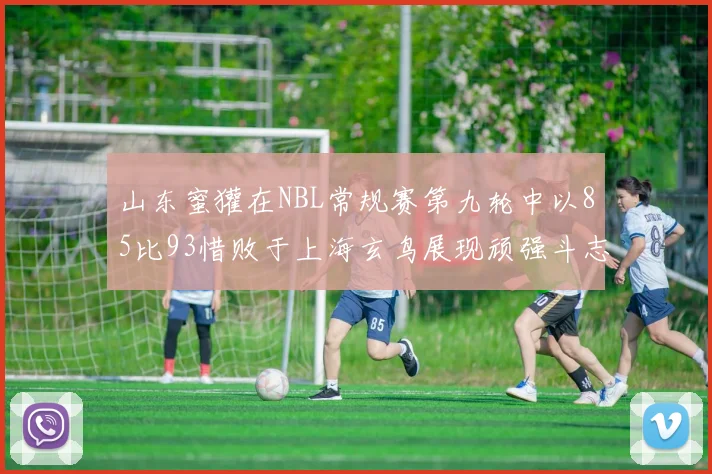山东蜜獾在NBL常规赛第九轮中以85比93惜败于上海玄鸟展现顽强斗志