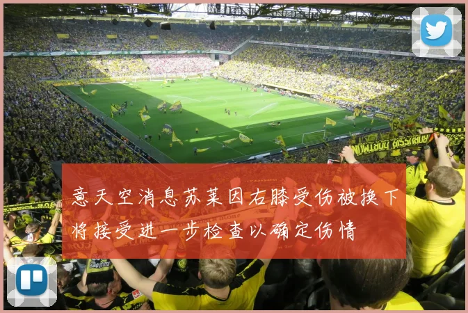 意天空消息苏莱因右膝受伤被换下将接受进一步检查以确定伤情