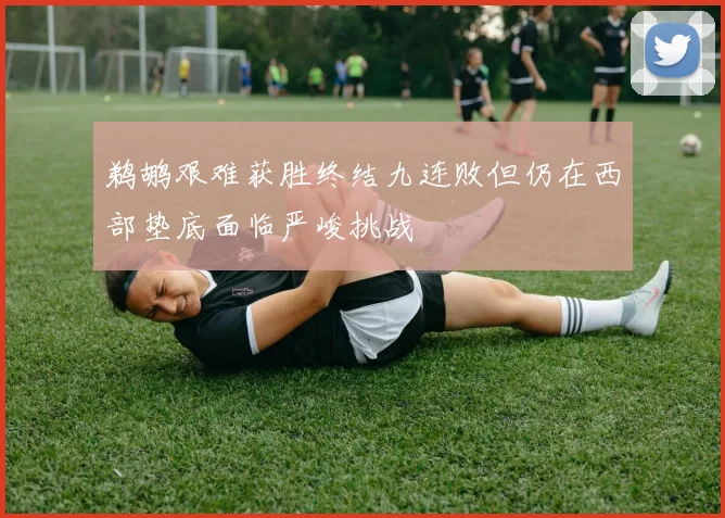 鹈鹕艰难获胜终结九连败但仍在西部垫底面临严峻挑战