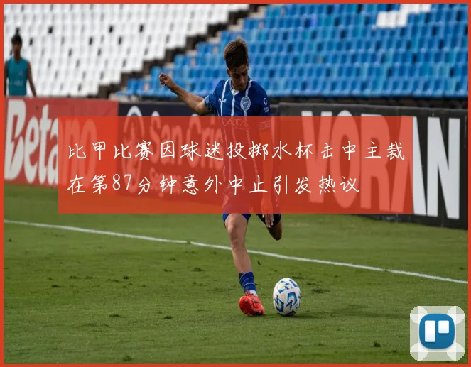 比甲比赛因球迷投掷水杯击中主裁在第87分钟意外中止引发热议